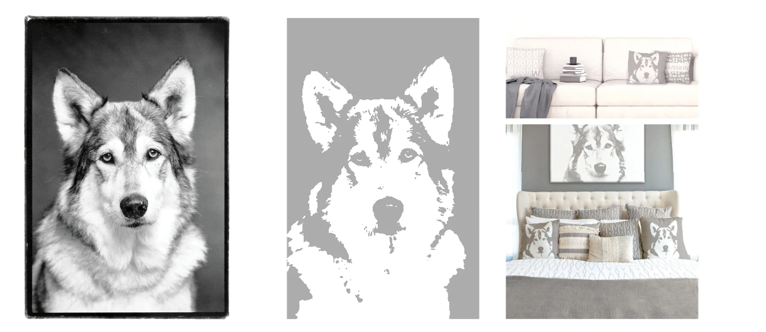 Compawssion Sasha product line branding