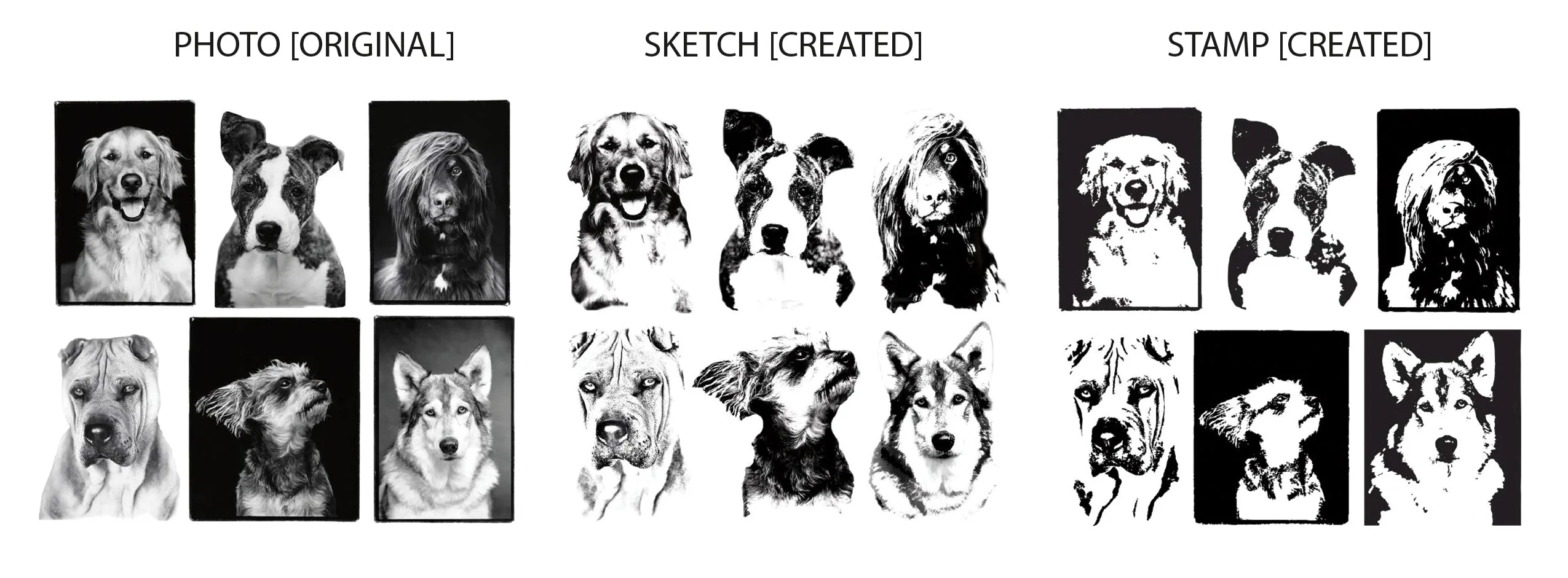 Compawssion visual style guide